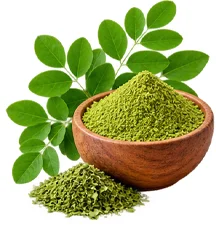 Moringa en {{OFFER_NAME}}